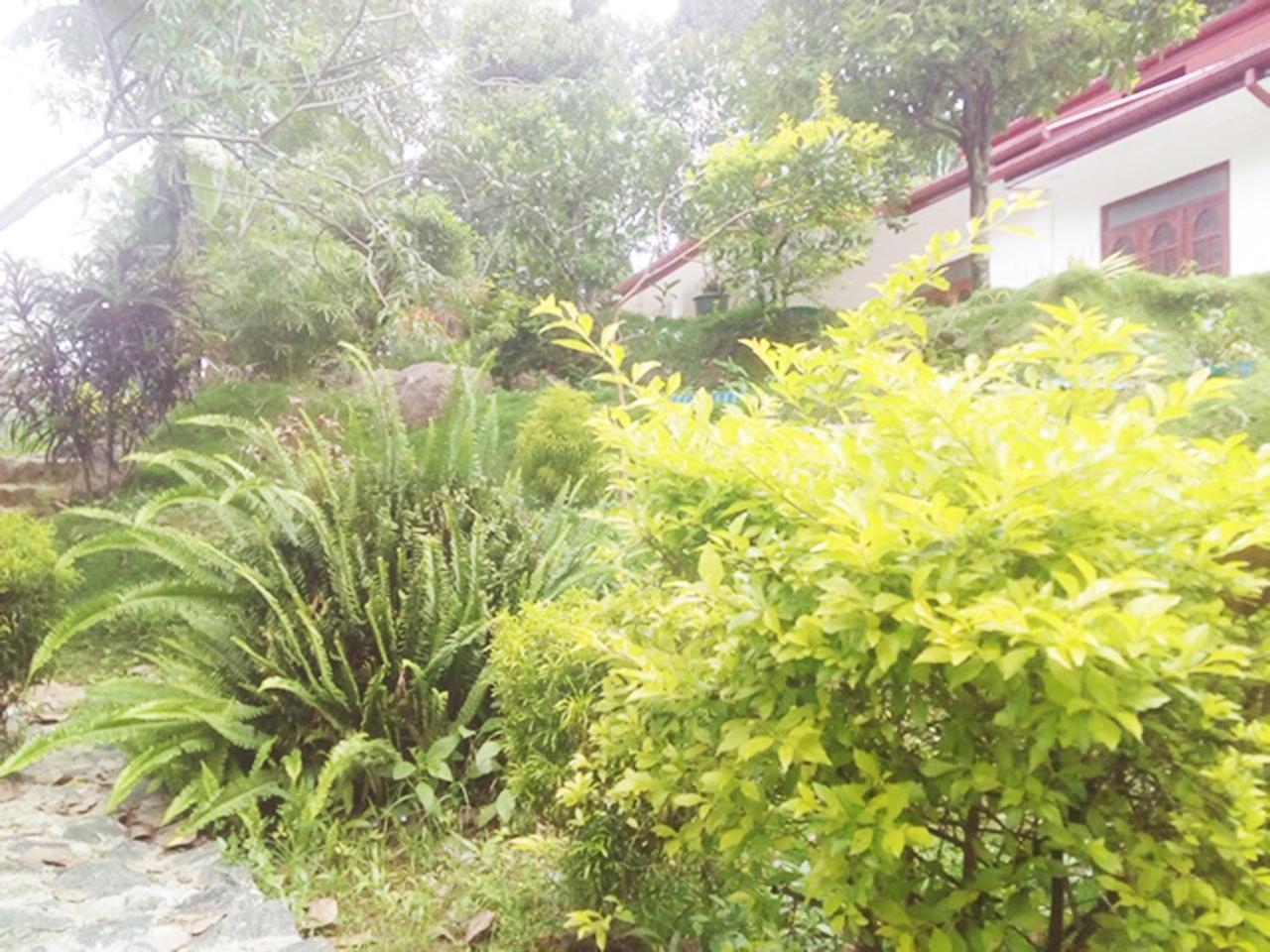 Ella Gate Resort Kumbalwela Exterior photo